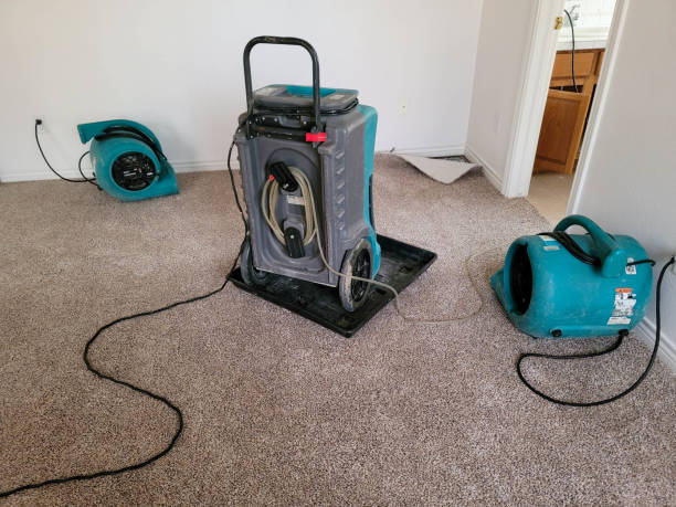 Trusted Winterville, NC Water damage restoration Experts