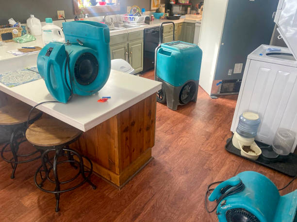 Best Residential water damage restoration  in Winterville, NC