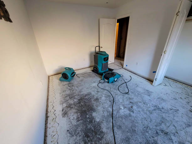 Best Commercial water damage restoration  in Winterville, NC