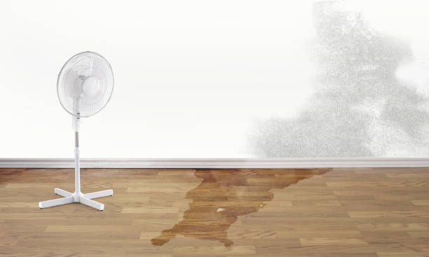 Best Local water damage restoration  in Winterville, NC