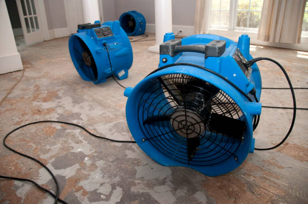 Best Emergency water damage restoration  in Winterville, NC