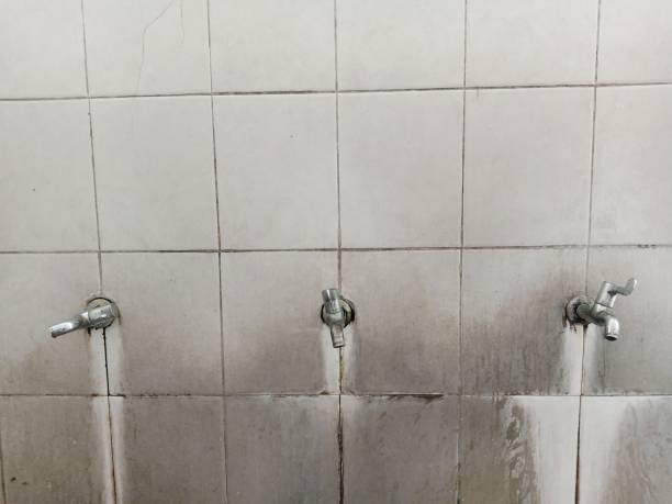 Best Water damage contractors near me  in Winterville, NC