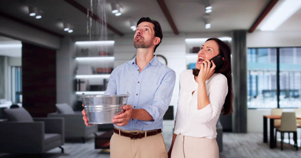 Best 24/7 water damage repair  in Winterville, NC