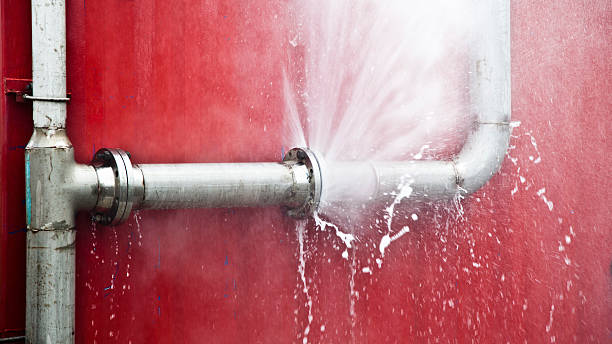 Best Professional water damage repair  in Winterville, NC